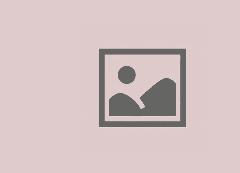 MERN Stack Development with Digital Marketing